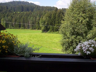 Apartment 2-bedroom ape on the 3rd floor, duplex - Environment photo 15