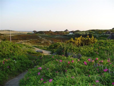 Holiday house Doppelhaus West G - Environment photo 18