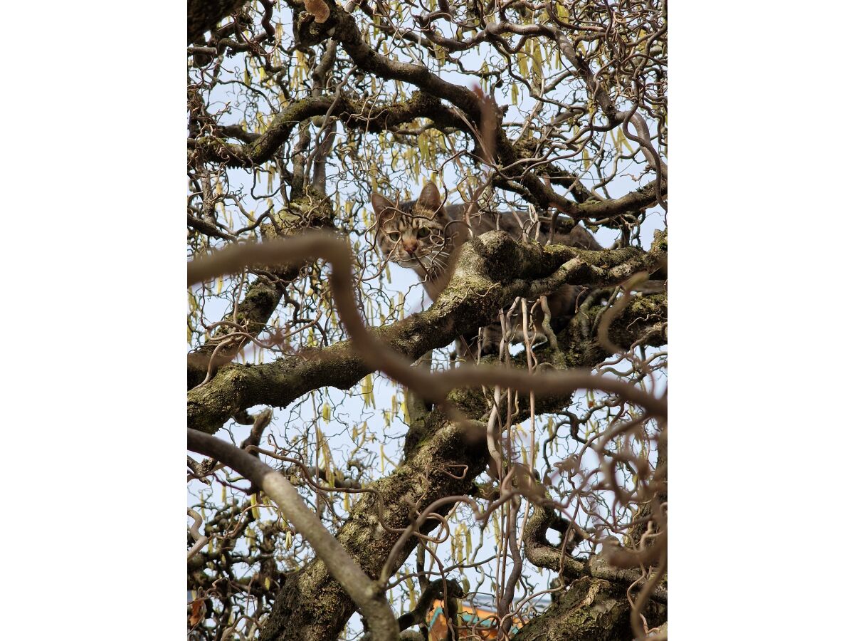 Holiday apartment Potche - Outdoor photo 3