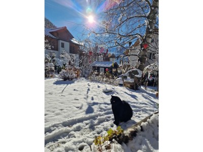 Holiday apartment Potche - Outdoor photo 6