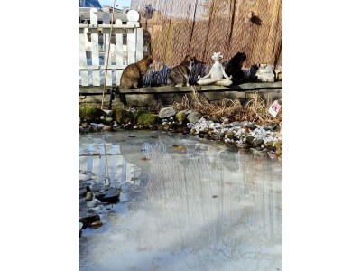 Holiday apartment Potche - Outdoor photo 7