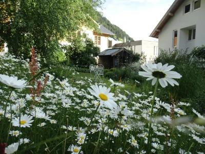 Holiday apartment Potche - Outdoor photo 10