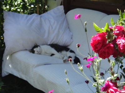 Holiday apartment Potche - Outdoor photo 11