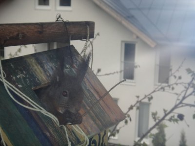 Holiday apartment Potche - Outdoor photo 12