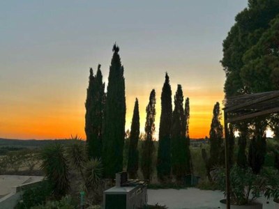 Holiday house Gîte Pomme de Pin 2/4 personnes - Environment photo 15