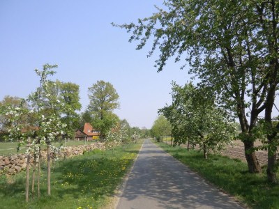 Holiday apartment Grote - Environment photo 17