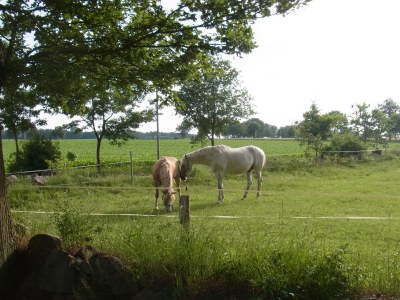 Holiday apartment Grote - Environment photo 18