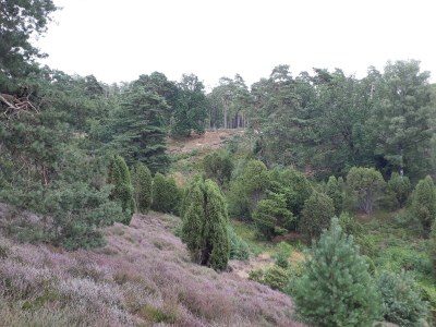 Holiday apartment Grote - Environment photo 20