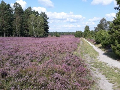 Holiday apartment Grote - Environment photo 21