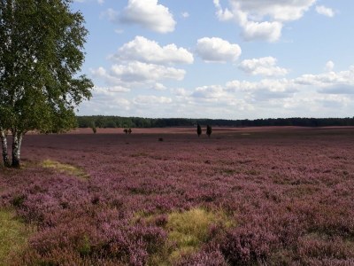 Holiday apartment Grote - Environment photo 22