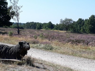 Holiday apartment Grote - Environment photo 25