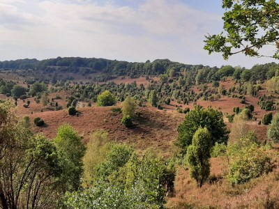 Holiday apartment Grote - Environment photo 26