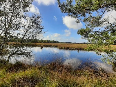 Holiday apartment Grote - Environment photo 27