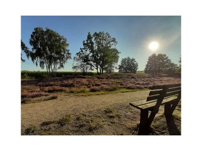 Holiday apartment Grote - Environment photo 30