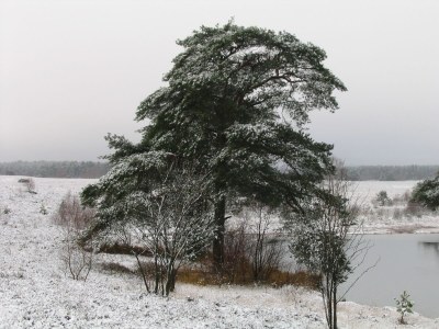 Holiday apartment Grote - Environment photo 31