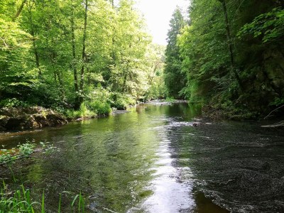 Holiday house Margaret - Environment photo 26