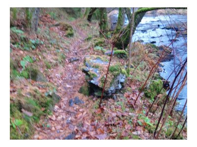 Holiday house Margaret - Environment photo 27