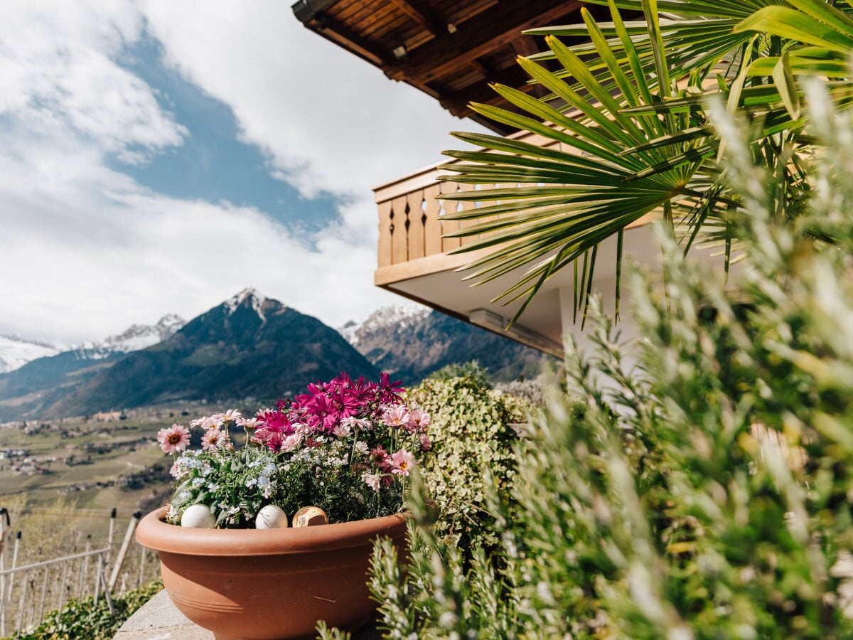 Holiday apartment "Passer" | House Bachmair - Outdoor photo 3