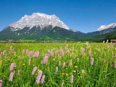 Apartment Sonn-Alm 50mÂ² - Environment photo 22