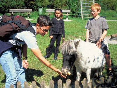 Apartment Sonn-Alm 50mÂ² - Environment photo 24