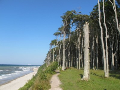 Holiday apartment Fischerweg - Environment photo 20