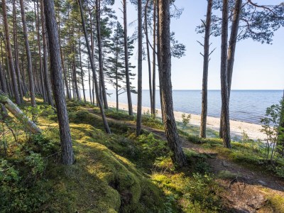 Holiday apartment Fischerweg - Environment photo 24