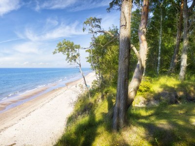 Holiday apartment Fischerweg - Environment photo 25