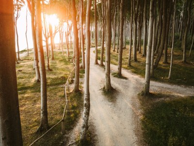 Holiday apartment Fischerweg - Environment photo 26