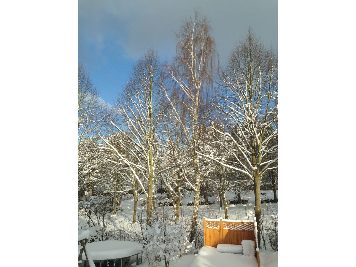 Holiday apartment Am Königsberg, Luebeck - Outdoor photo 5