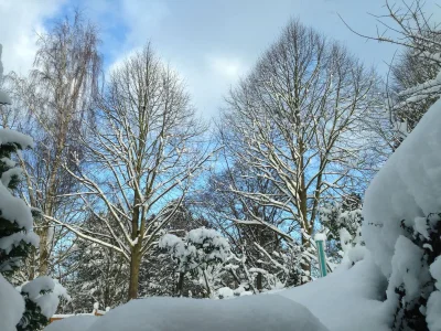 Holiday apartment Am Königsberg, Luebeck - Outdoor photo 6