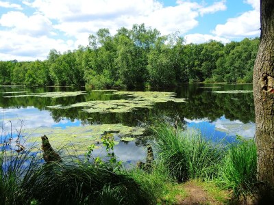 Holiday apartment Am Königsberg, Luebeck - Environment photo 18