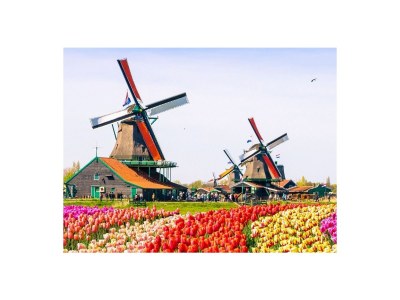 Holiday apartment Egmond aan Zee - Environment photo 13