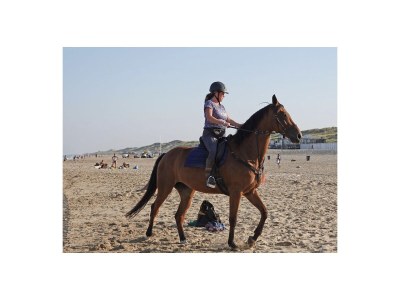 Holiday apartment Egmond aan Zee - Environment photo 19