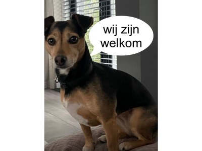 Holiday apartment Egmond aan Zee - Environment photo 24