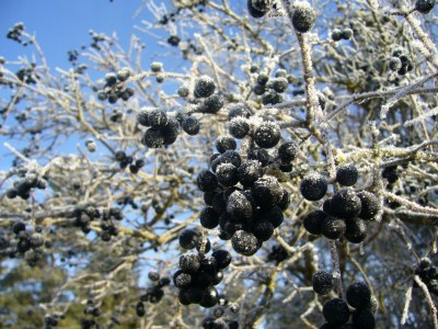 Holiday apartment House Bross - Environment photo 22