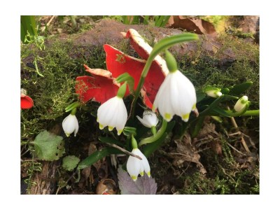 Holiday apartment House Bross - Environment photo 31