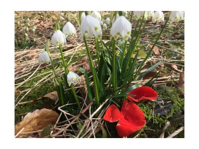 Holiday apartment House Bross - Environment photo 32