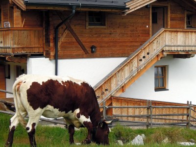 Holiday apartment Chalet in Hochkrimml - Outdoor photo 4