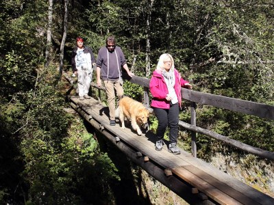 Holiday apartment Chalet in Hochkrimml - Environment photo 19