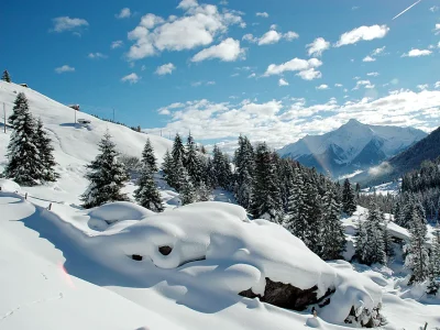 Apartment Sandra - Environment photo 24