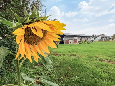 Holiday house 6 Personen Ferienhaus in Løkken - Outdoor photo 10