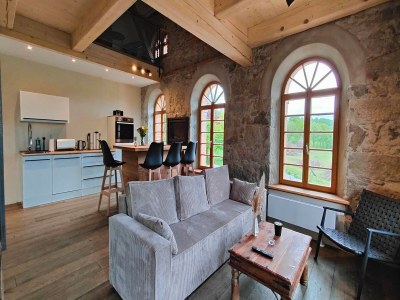 Apartment Helle Galeriewohnung mit 2 Kaminen und Privatsauna in Lusatian Highlands - Apartment