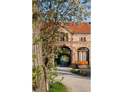 Apartment Helle Galeriewohnung mit 2 Kaminen und Privatsauna - Outdoor photo 2