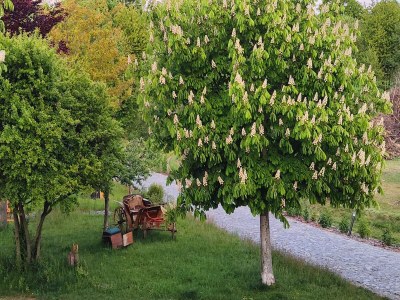 Apartment Helle Galeriewohnung mit 2 Kaminen und Privatsauna - Outdoor photo 27