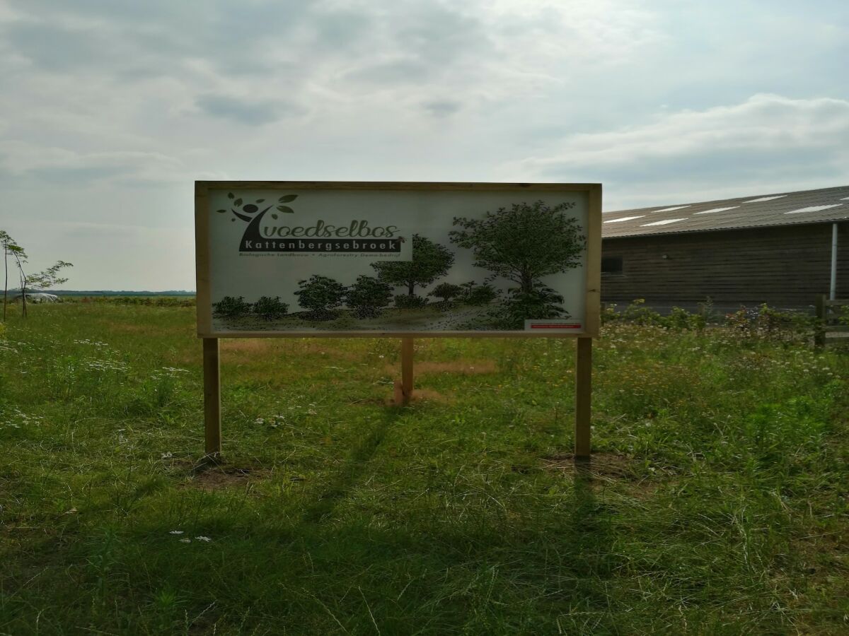 Holiday house Spacious holiday home in Oirschot near forest - Outdoor photo 5