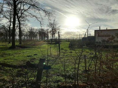 Holiday house Spacious holiday home in Oirschot near forest - Outdoor photo 8