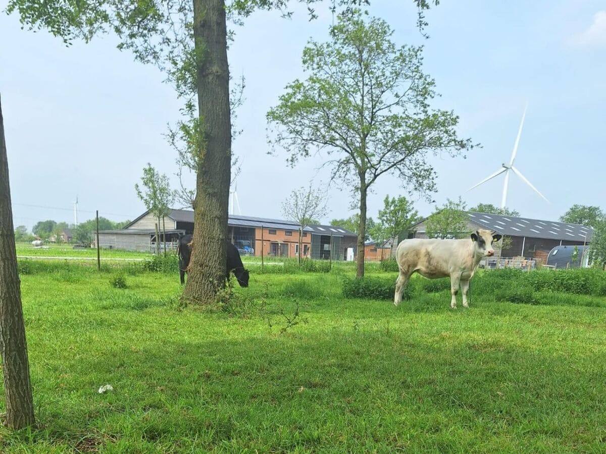 Holiday house Tiny Home in Oirschot next to forest - Outdoor photo 2