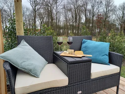 Holiday house Tiny Home in Oirschot next to forest - Outdoor photo 4