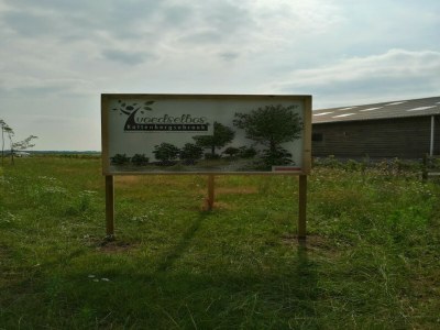 Holiday house Tiny Home in Oirschot next to forest - Outdoor photo 6