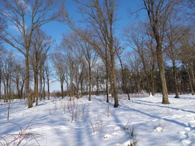 Holiday house Tiny Home in Oirschot next to forest - Environment photo 22